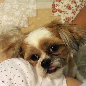 Meet your Posher, 영기